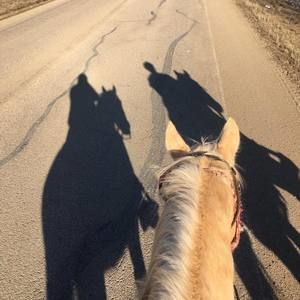 Meet your Posher, Stacy